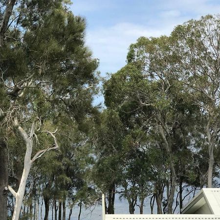 The Lake Guesthouse Budgewoi Exterior photo